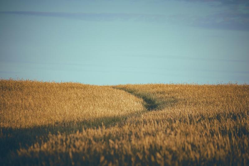 Agricoltura sostenibile, il progetto internazionale che parte dall’Università di Brescia