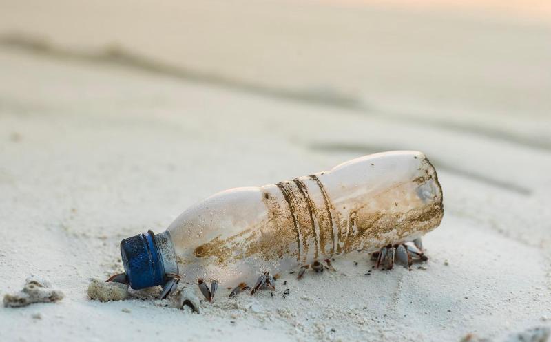 Plastica e sport: verso un futuro sostenibile nello sport